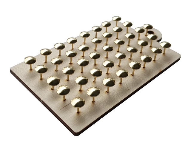 PAPURINO Push Pins For Wooden Maps