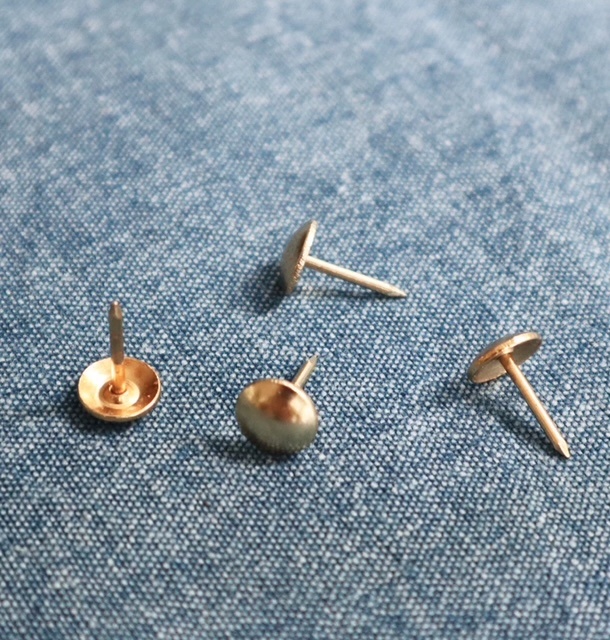 PAPURINO Push Pins For Wooden Maps