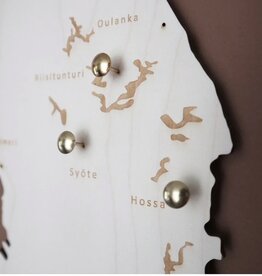 PAPURINO Push Pins For Wooden Maps