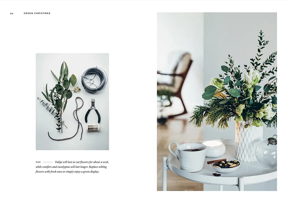 COZY PUBLISHING Green Christmas