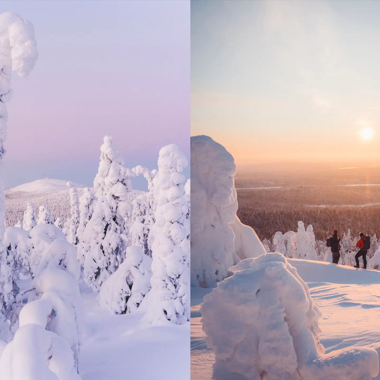 COZY PUBLISHING Food Over the Campfire – Recipes For Day Hikes & Wilderness