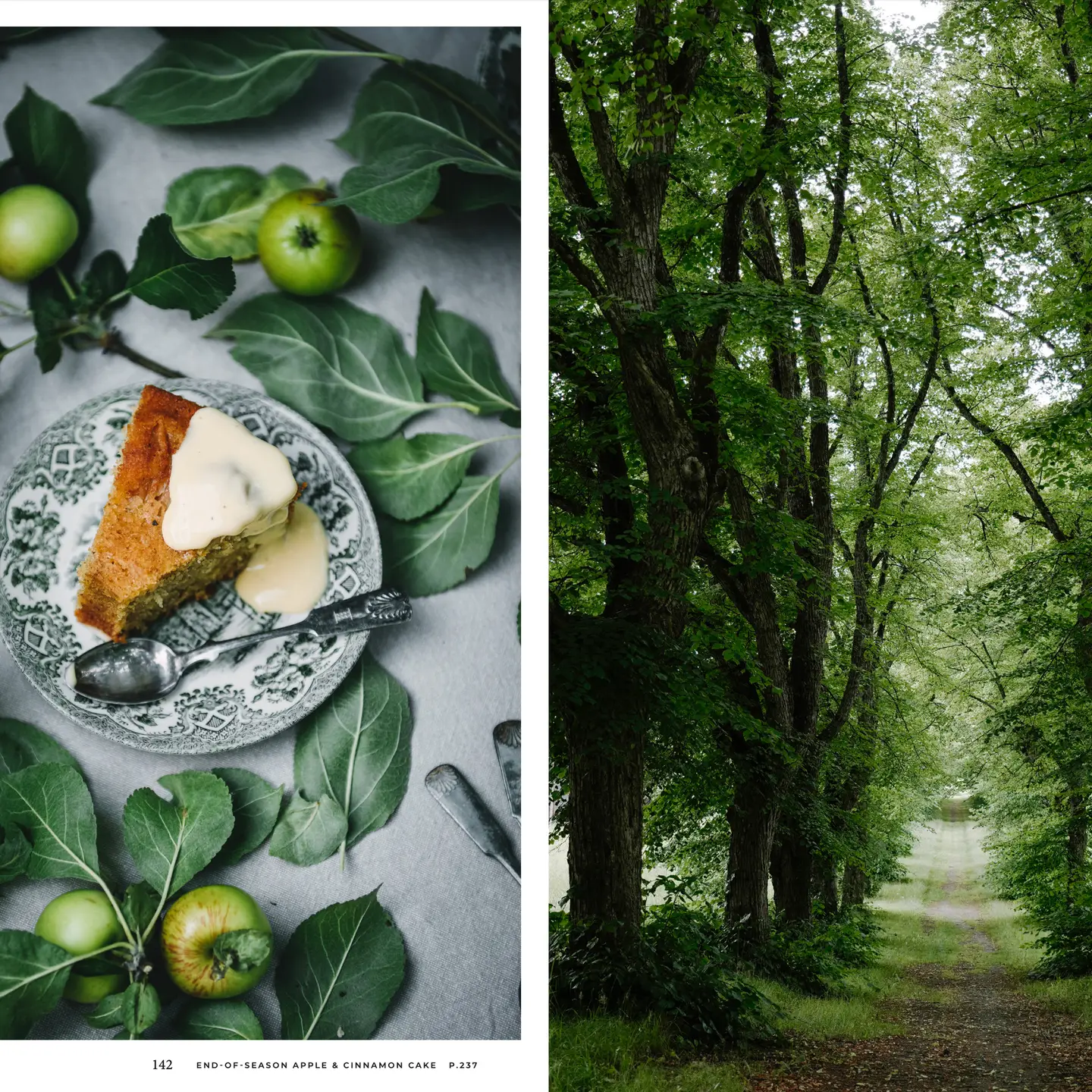 COZY PUBLISHING Nordic Summer Cookbook