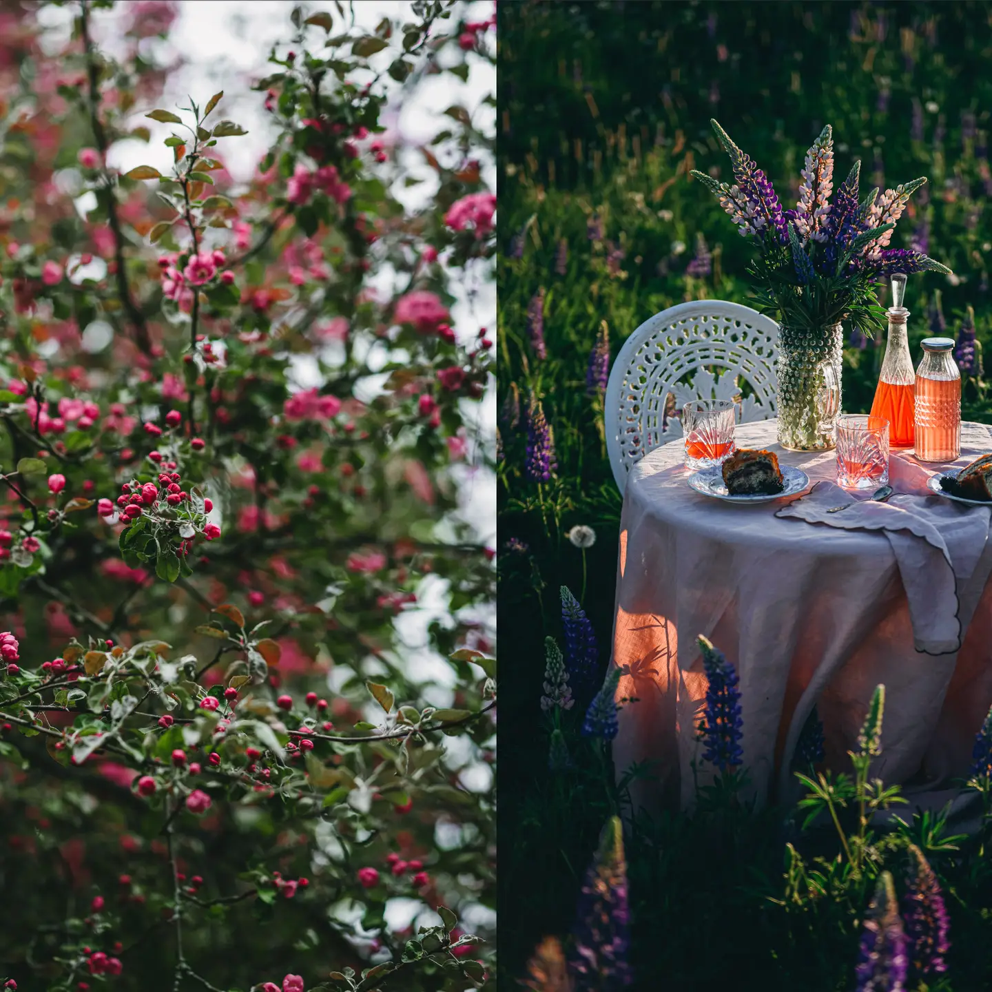 COZY PUBLISHING Nordic Summer Cookbook