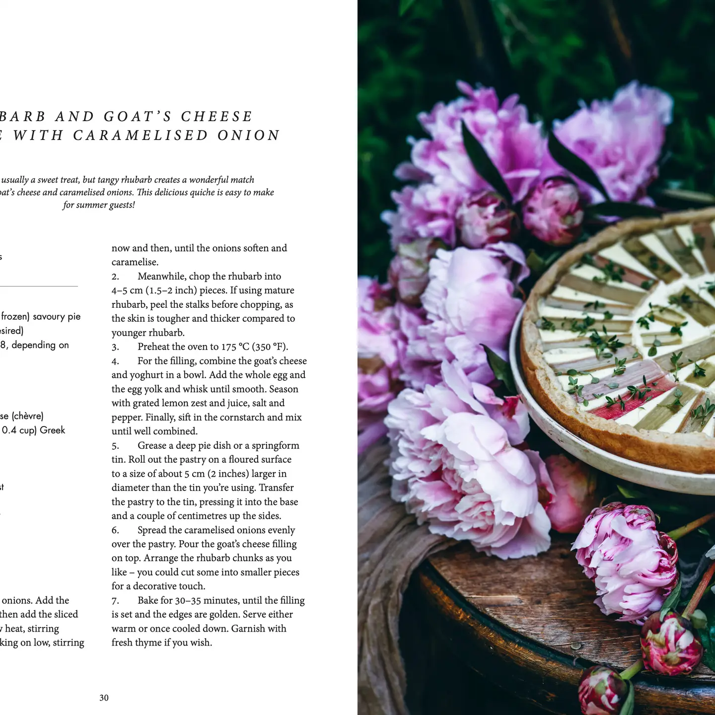 COZY PUBLISHING Nordic Summer Cookbook