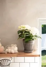 OMOM Organic Cotton Bag klein 2er Set