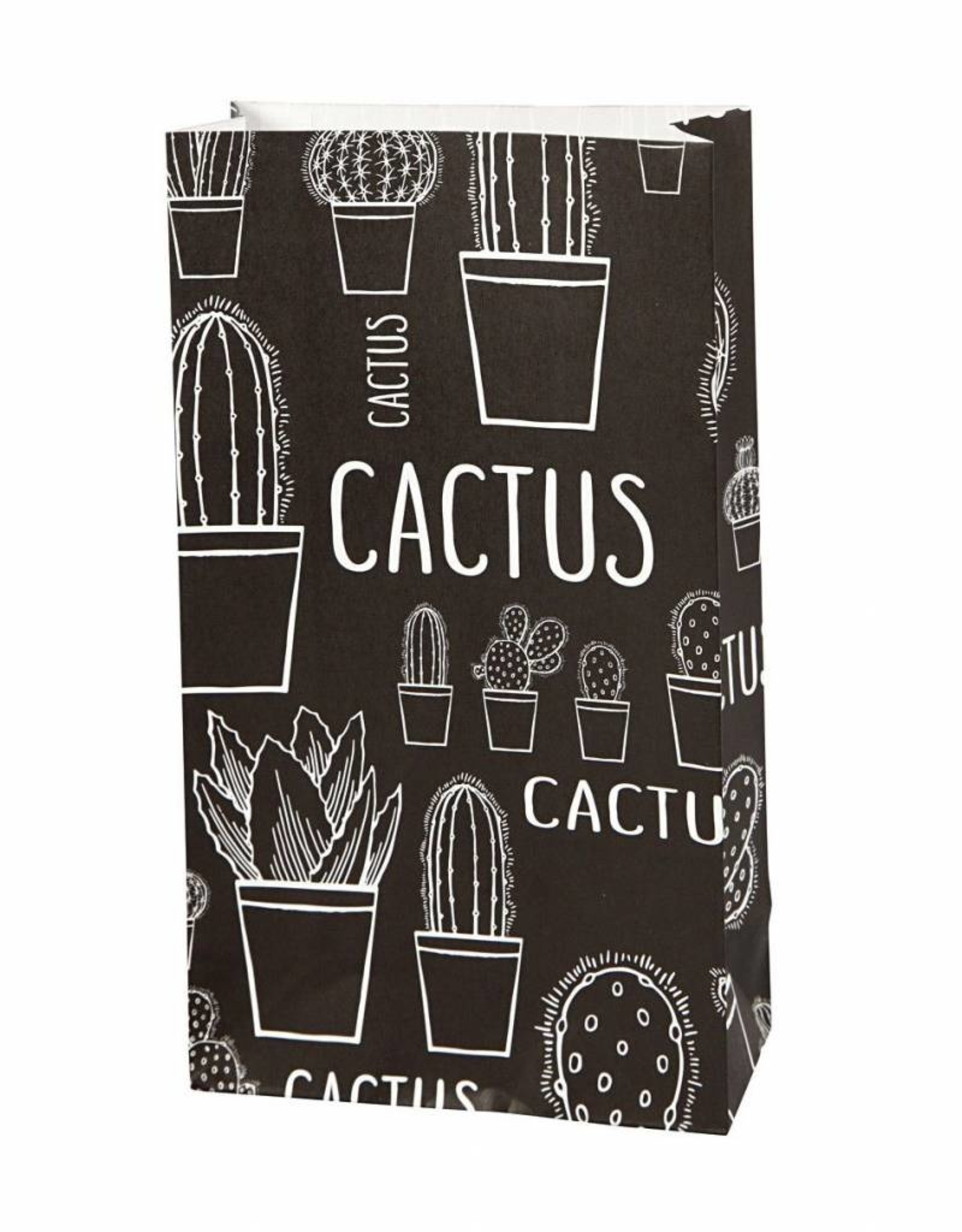 Blokzakjes cactus 5st
