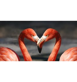 Diamond Painting flamingo XL 40x80cm