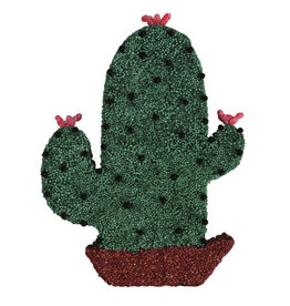 Figuurtje cactus