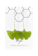 oorbEllen Ginkgo Biloba groen