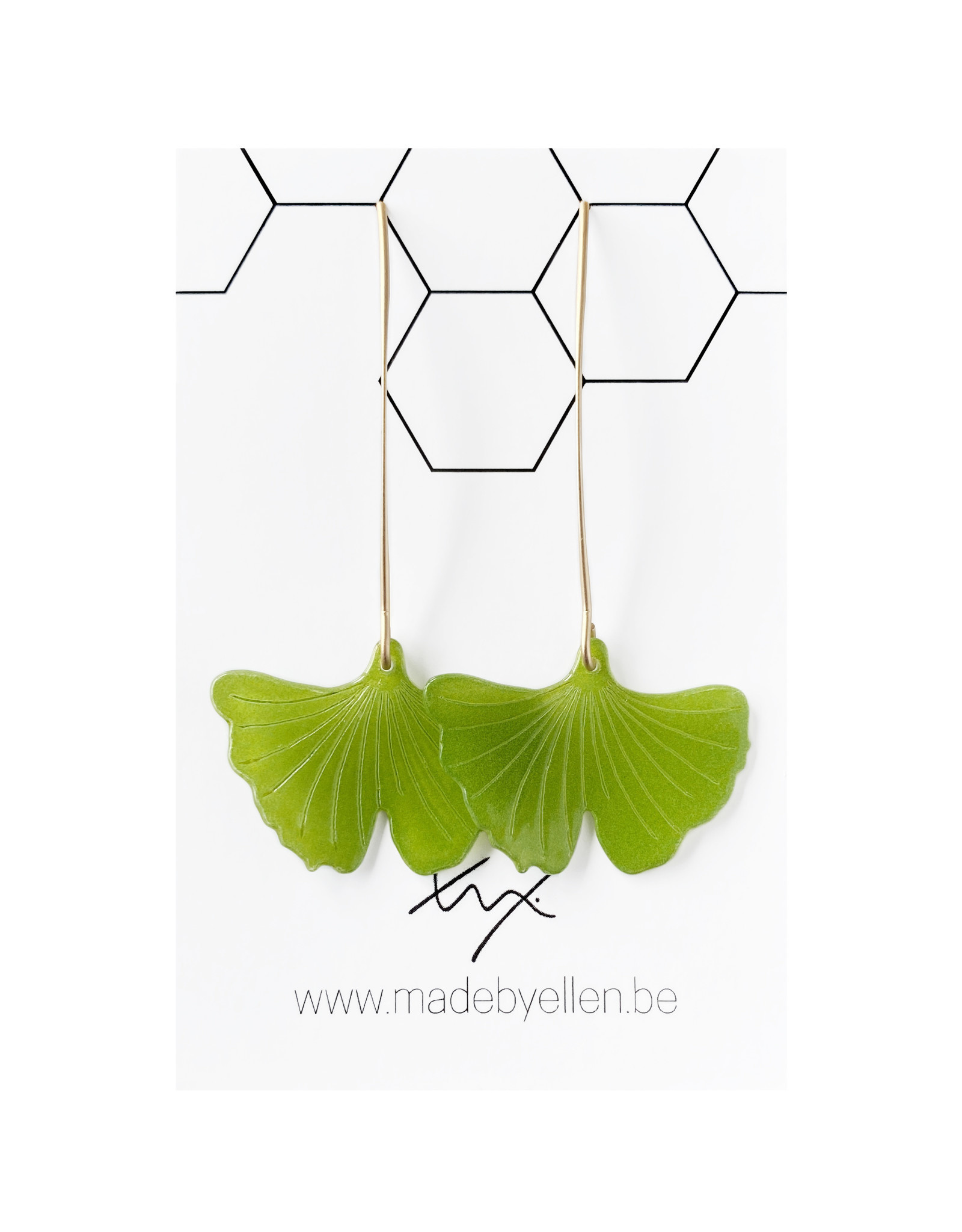 oorbEllen Ginkgo Biloba groen