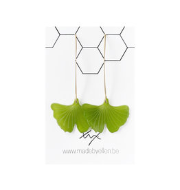 oorbEllen Ginkgo Biloba groen