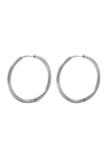 Creolen RVS 20mm zilverkleur