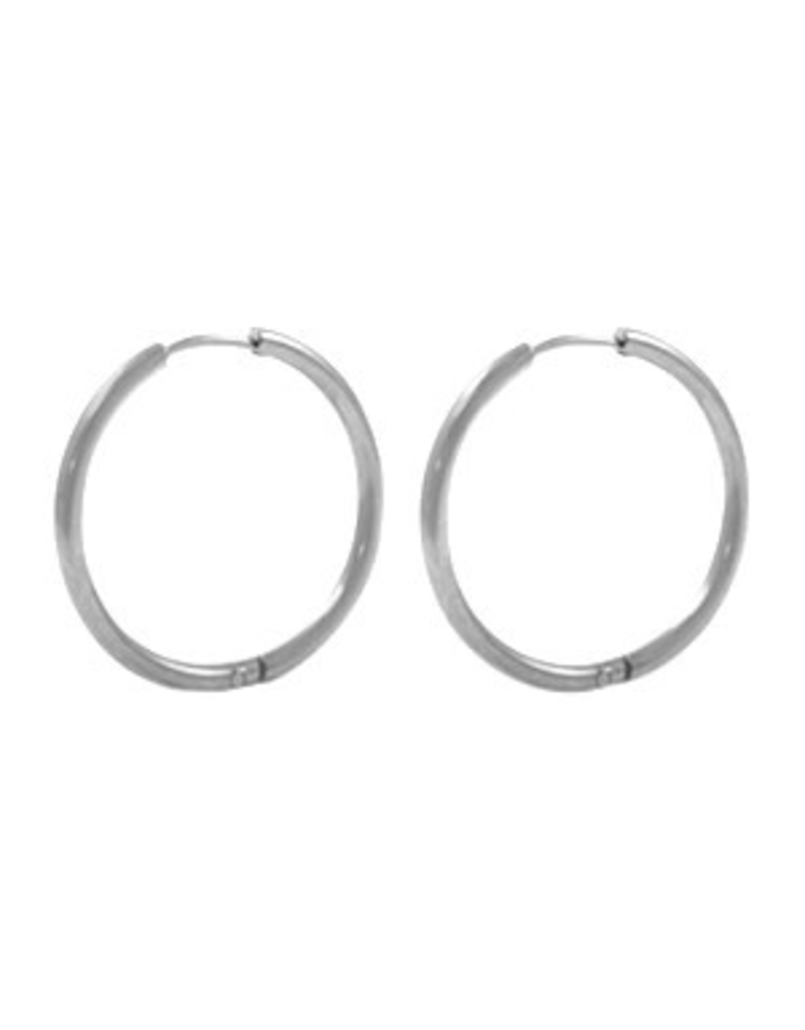 Creolen RVS 20mm zilverkleur