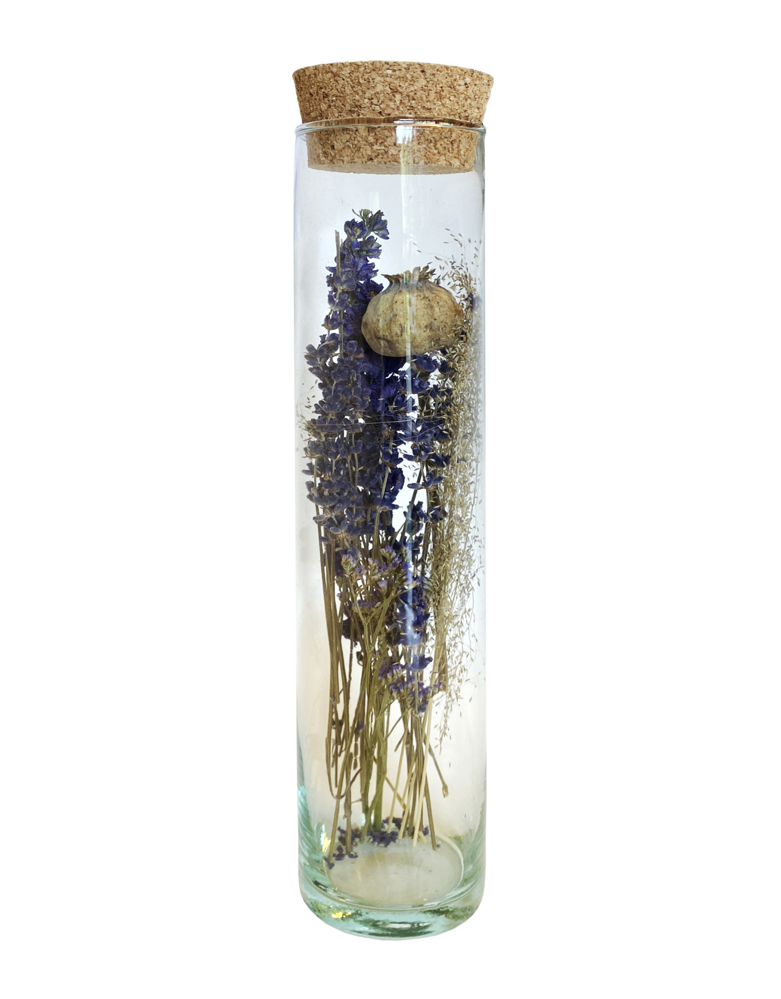 Droogbloemen cilinder breed papaver 30cm