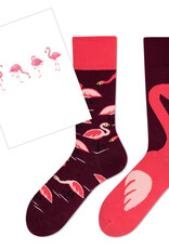 SET sokken & postkaart flamingo