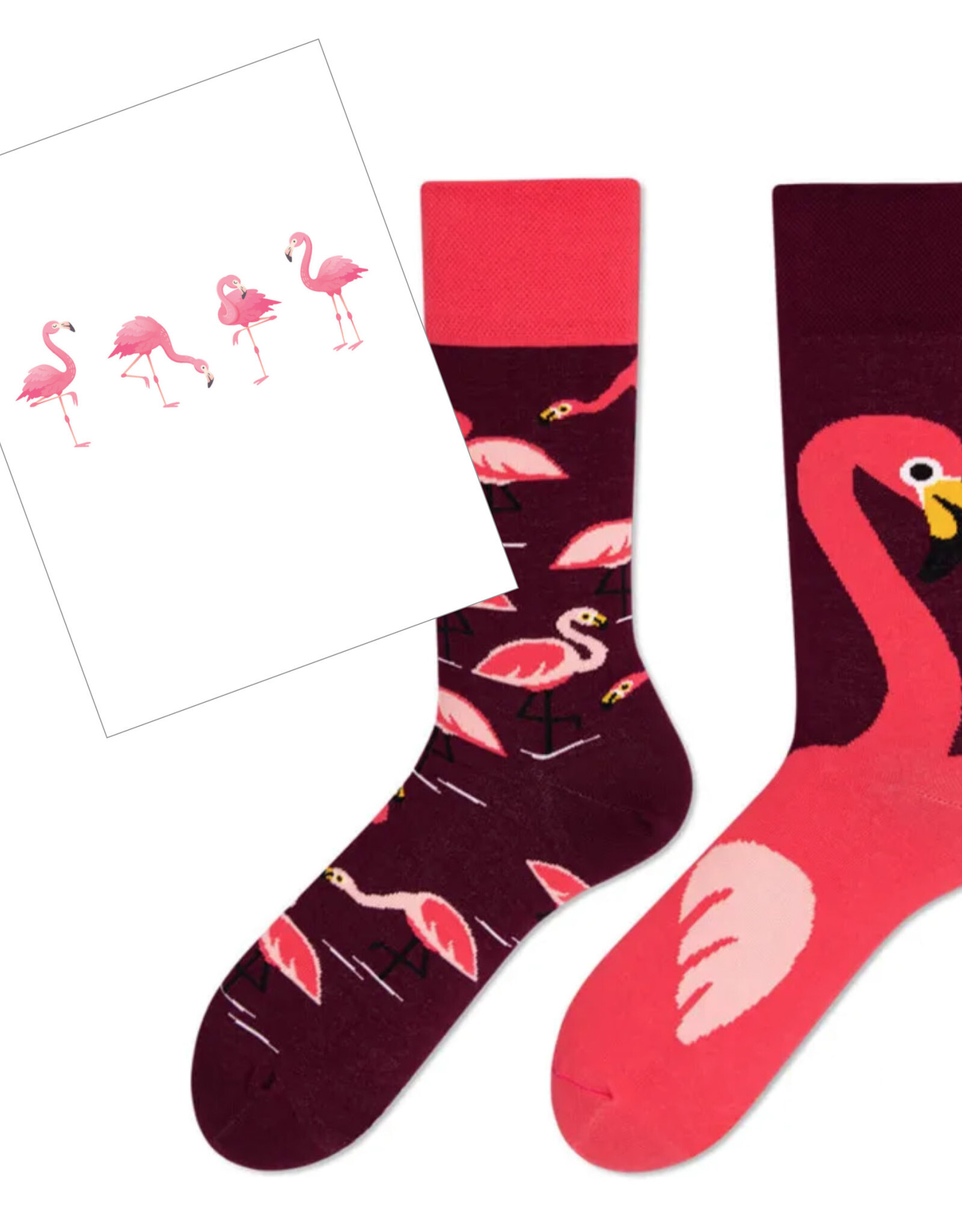 SET sokken & postkaart flamingo