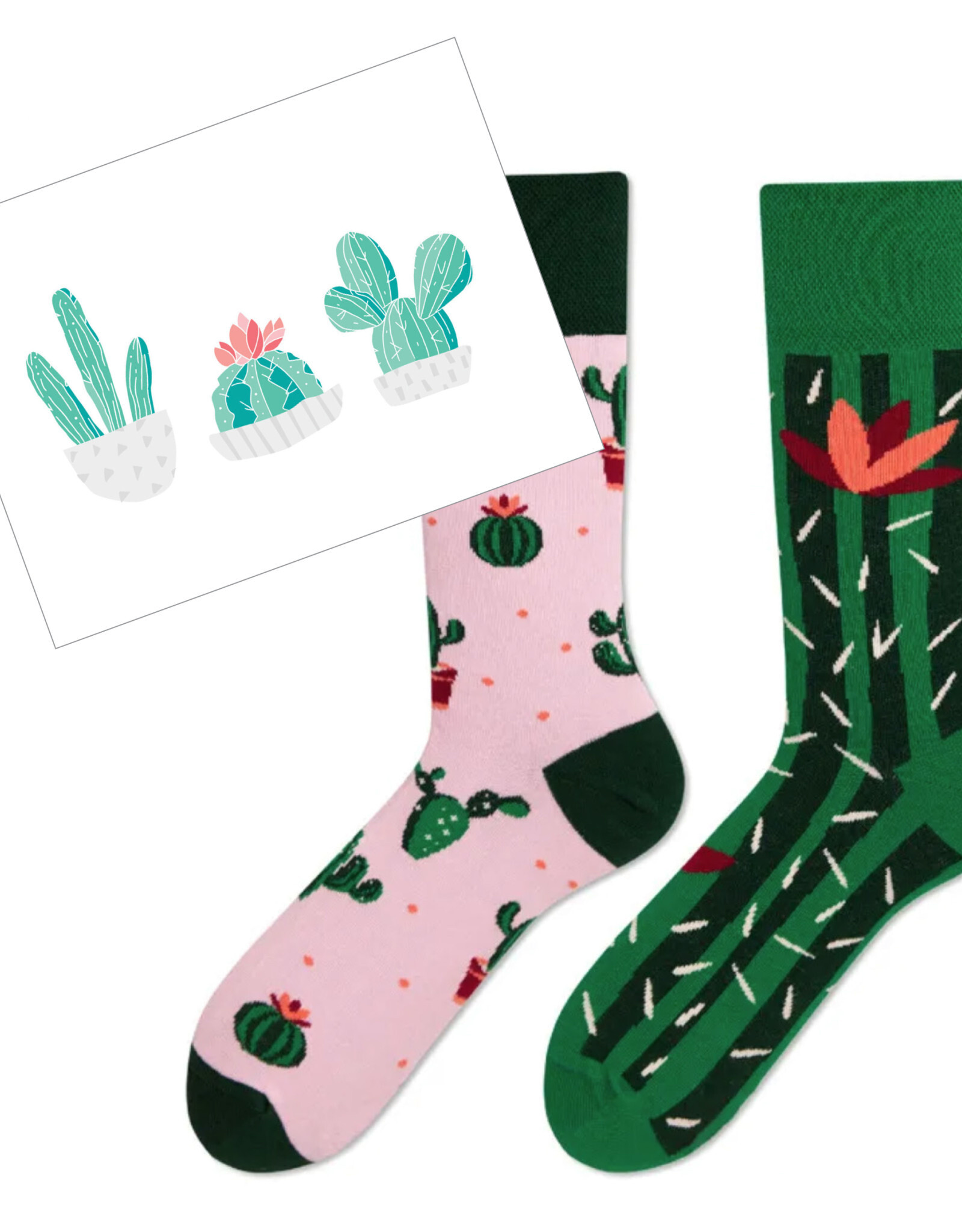 SET sokken & postkaart cactus