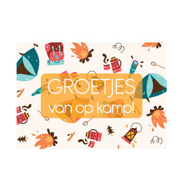 Postkaart (invul) Groetjes van op kamp mix N