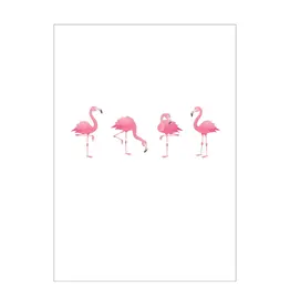 Postkaart flamingo N