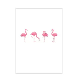 Postkaart flamingo N