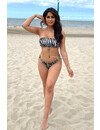 ZEBRA - 'ZERA' - ZEBRA PRINT STRAPLESS BIKINI