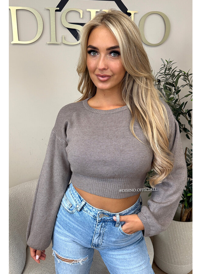 TAUPE - 'ILAYDA KNIT' - CROPPED BELL SLEEVE KNIT