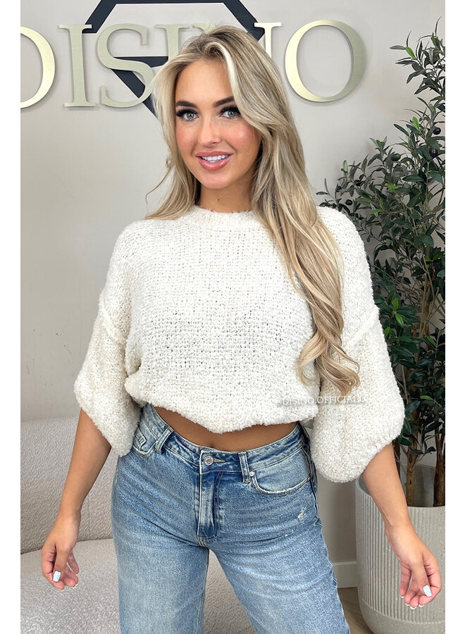 ECRU - 'NONA SHORTSLEEVE' - SOFT & COZY TEDDY KNIT SWEATER