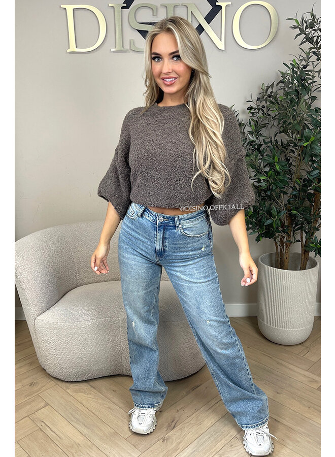 TAUPE - 'NONA SHORTSLEEVE' - SOFT & COZY TEDDY KNIT SWEATER