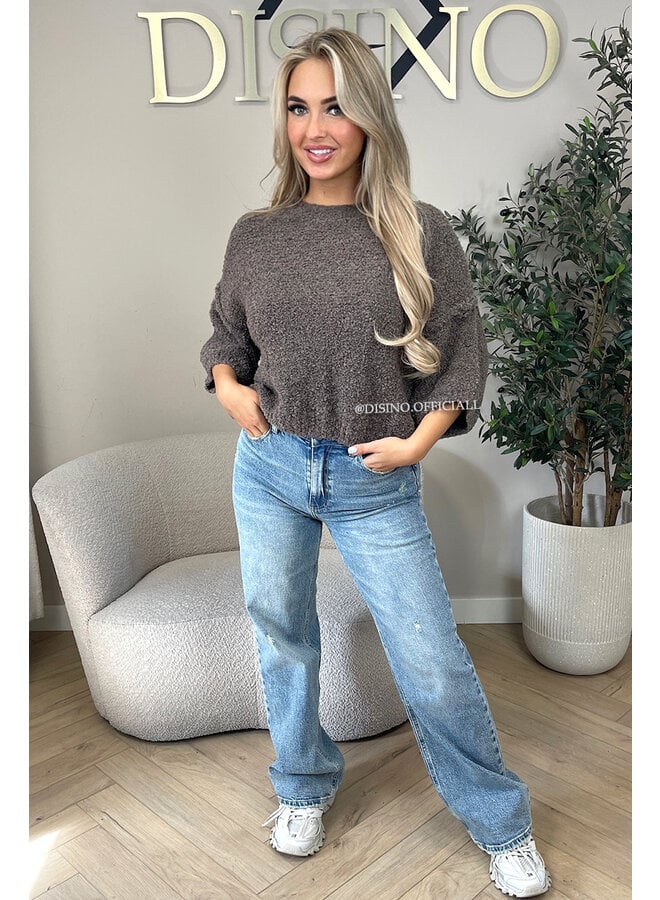 TAUPE - 'NONA SHORTSLEEVE' - SOFT & COZY TEDDY KNIT SWEATER