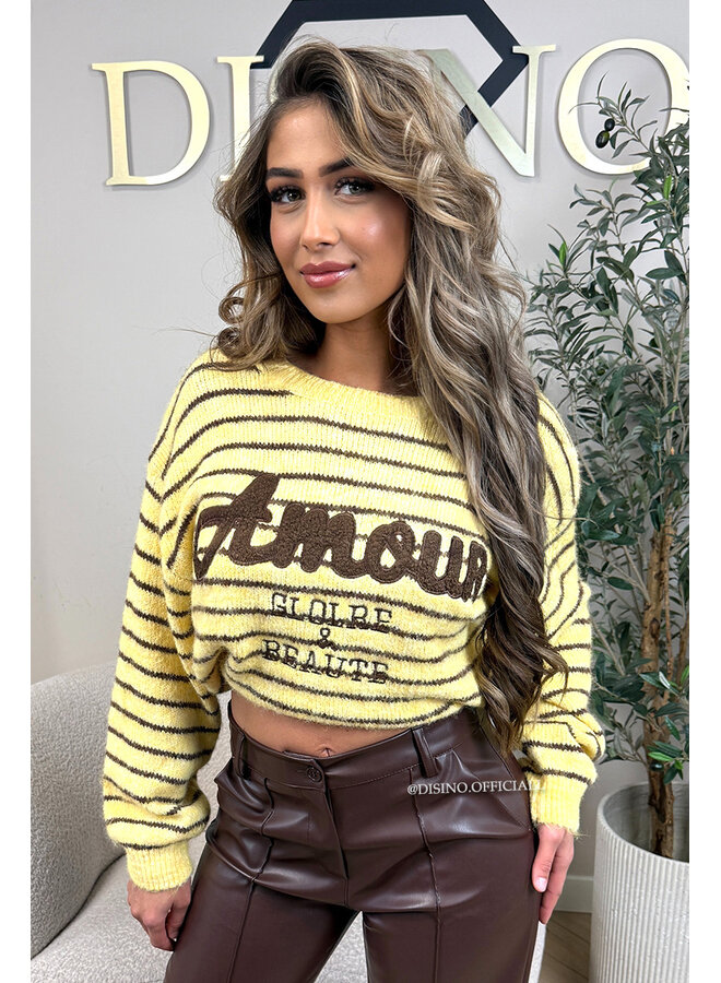 YELLOW - 'STRIPED AMOUR KNIT' - STRIPED OVERSIZED KNIT