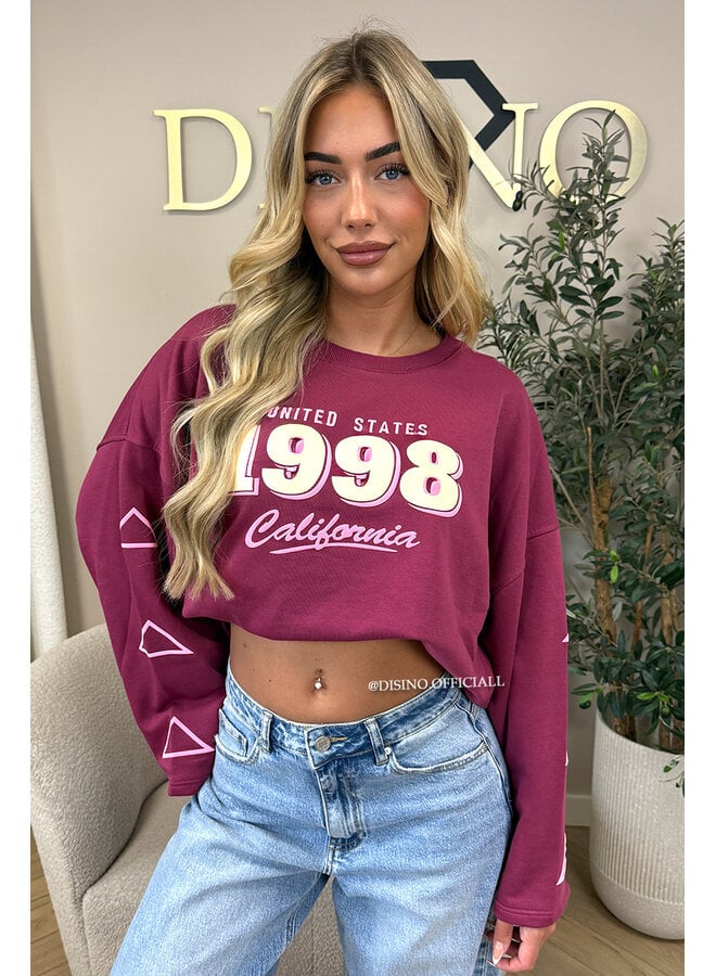 CHERRY - '1998 SWEATER' - OVERSIZED LONGSLEEVE SWEATER
