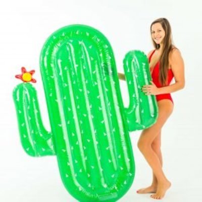 Didak Pool Luxe Cactus