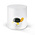 Monterey Line Borosilicaat glas met schildpad WD566TAR