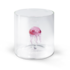 Monterey Line Borosilicaat glas met roze kwal  WD566MED
