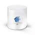 Monterey Line Borosilicaat glas met Blauwe Vis WD566AZZ