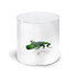 Monterey Line Borosilicaat glas met Krokodil WD566ALL