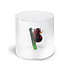 Monterey Line Borosilicaat glas met Koala WD566KOA