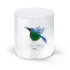 Monterey Line Borosilicaat glas met Kolibrie WD566COL