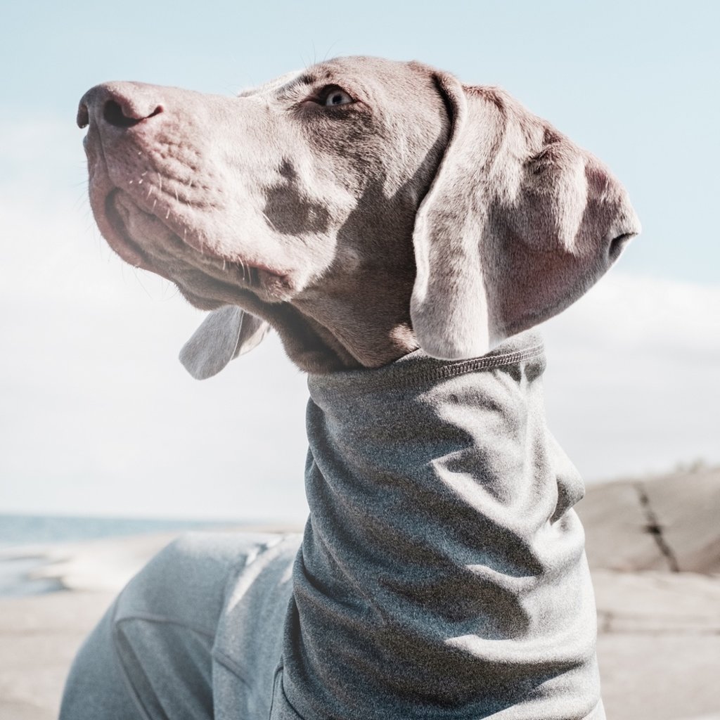 hurtta body warmer overall