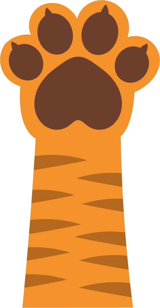 ABC Wonderverband BRUIN voor Dieren