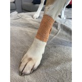 ABC Wonderverband BRUIN voor Dieren