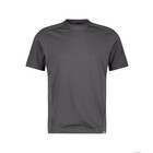 DASSY T-shirt Fuji