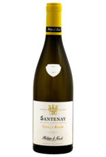 Philippe le Hardi Santenay blanc
