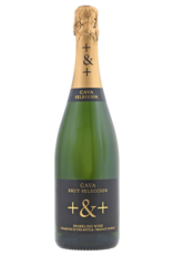 pinord Cava Pinord Selección brut
