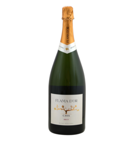 Cava Flama d’Or brut magnum