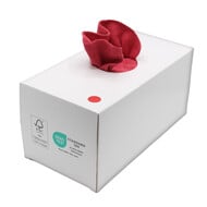 Dispenserdoos Soft 38x38 cm - 50 st (rood)