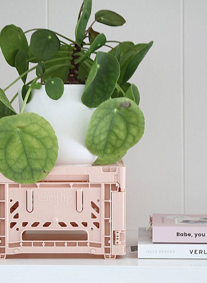 Lillemor - Folding Crate 'Milk Tea' - Mini
