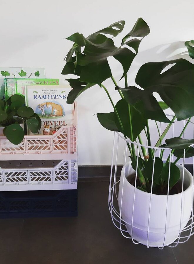 Lillemor - Folding Crate 'Navy' - Medium