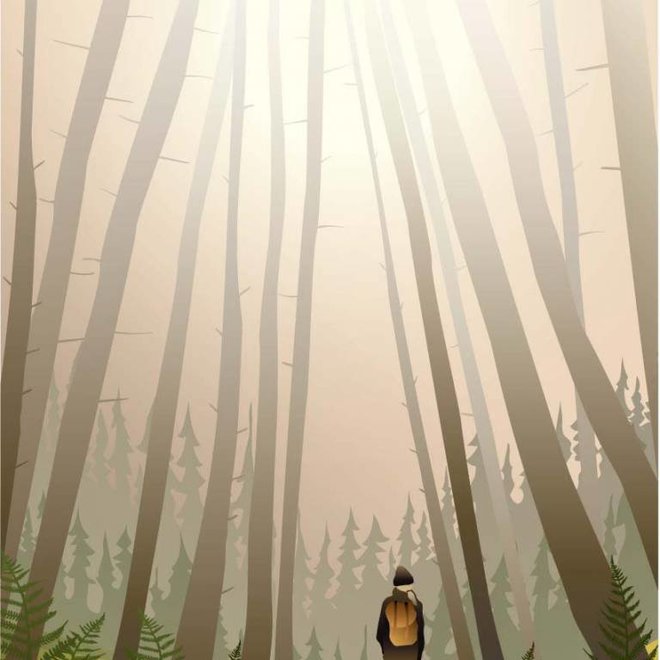 Vissevasse - Poster 'Into the woods'