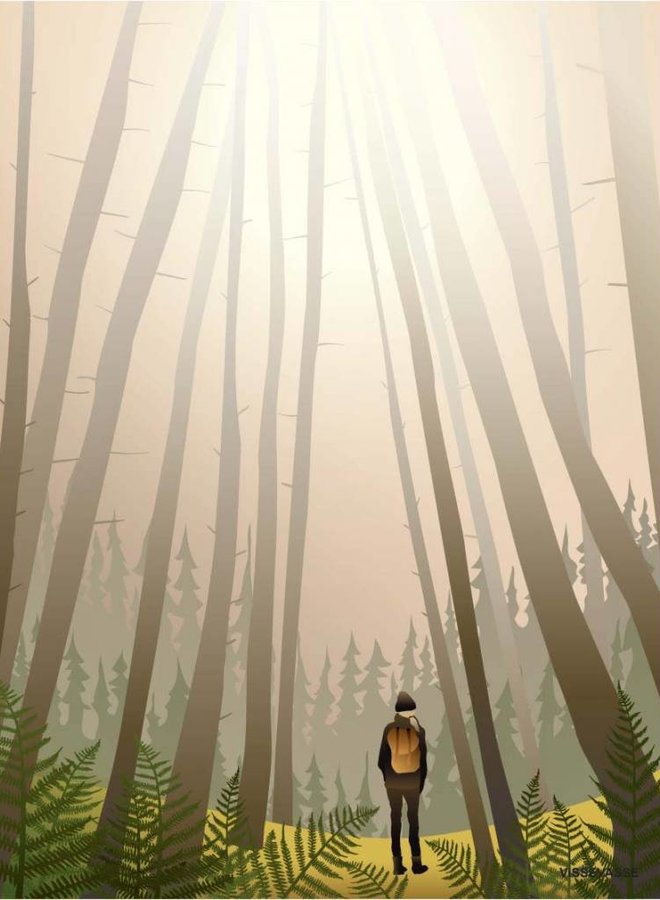 Vissevasse - Poster 'Into the woods'